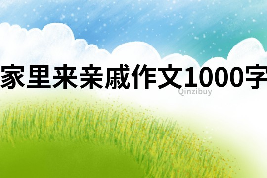 家里來親戚作文1000字