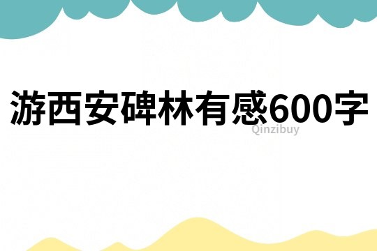 游西安碑林有感600字