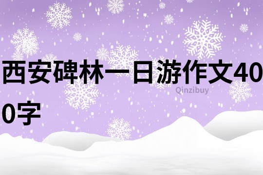 西安碑林一日游作文400字
