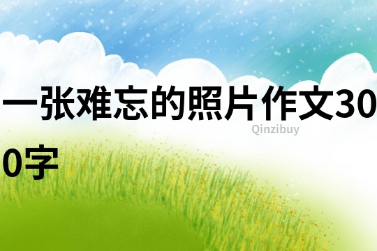 一張難忘的照片作文300字