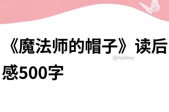 《魔法師的帽子》讀后感500字