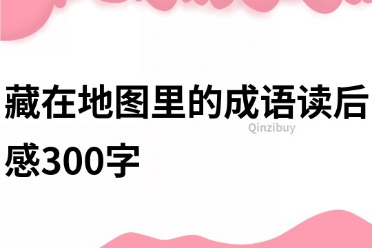 藏在地圖里的成語讀后感300字