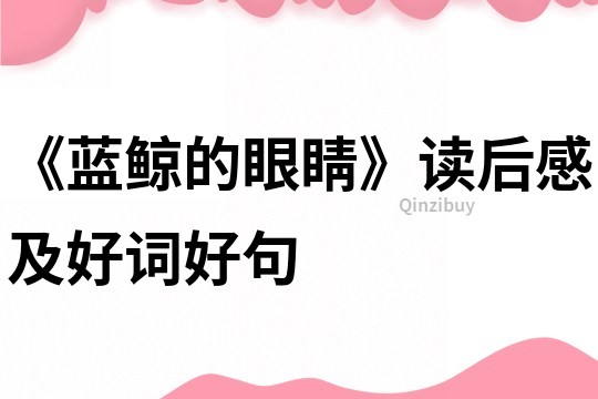《藍鯨的眼睛》讀后感及好詞好句