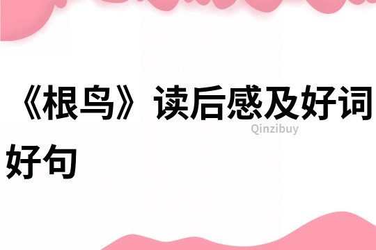《根鳥》讀后感及好詞好句