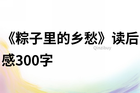 《粽子里的鄉(xiāng)愁》讀后感300字