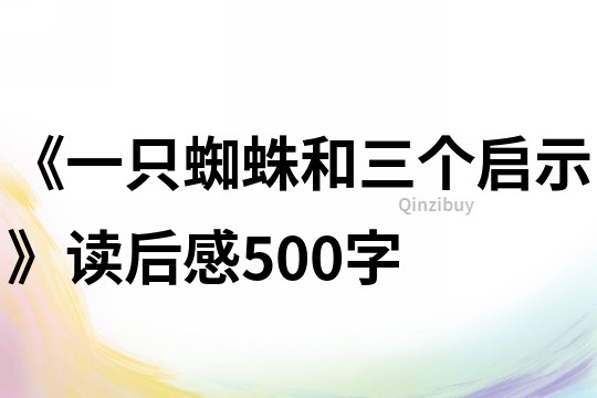 《一只蜘蛛和三個啟示》讀后感500字