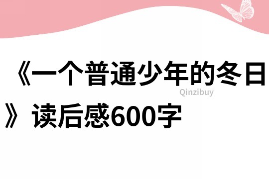 《一個普通少年的冬日》讀后感600字