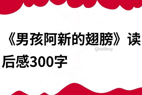 《男孩阿新的翅膀》讀后感300字
