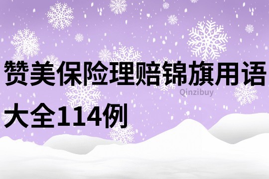 贊美保險理賠錦旗用語大全114例