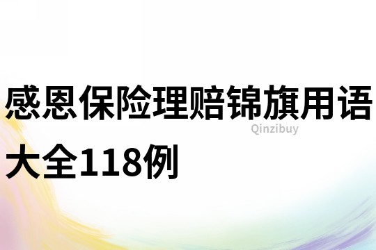 感恩保險理賠錦旗用語大全118例