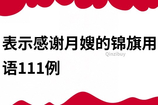 表示感謝月嫂的錦旗用語111例