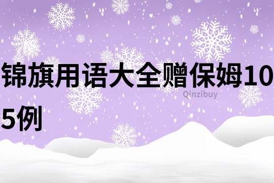 錦旗用語大全贈保姆105例