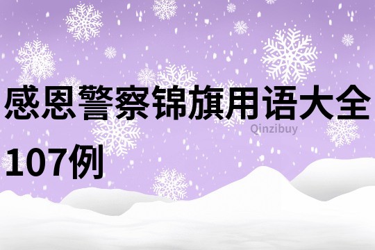 感恩警察錦旗用語大全107例