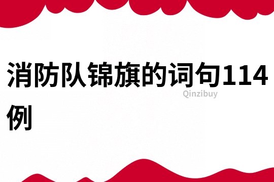 消防隊錦旗的詞句114例
