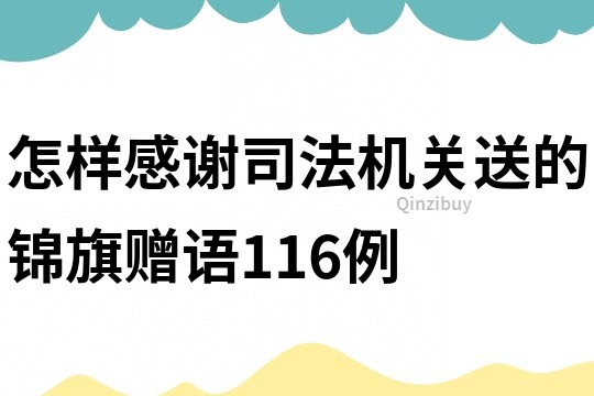 怎樣感謝司法機關送的錦旗贈語116例