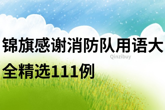錦旗感謝消防隊用語大全精選111例