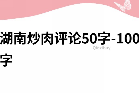 湖南炒肉評論50字-100字