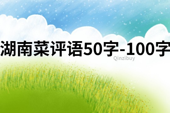 湖南菜評語50字-100字