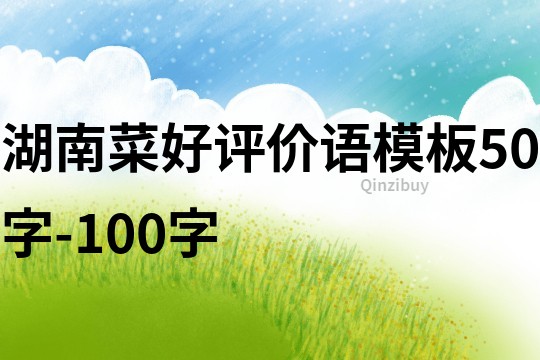 湖南菜好評價語模板50字-100字