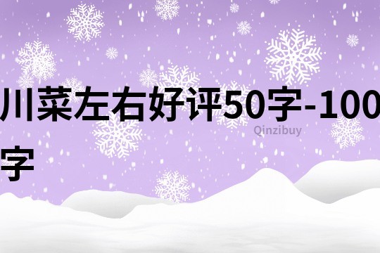 川菜左右好評50字-100字
