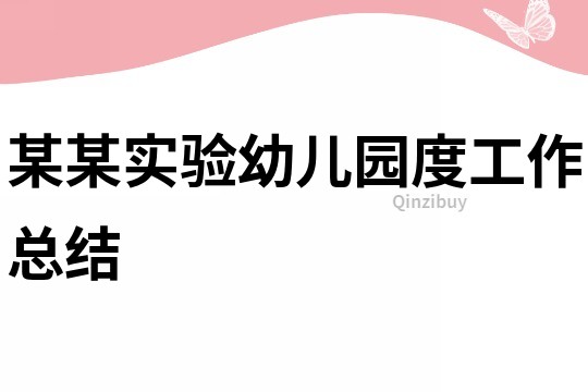 某某實驗幼兒園度工作總結