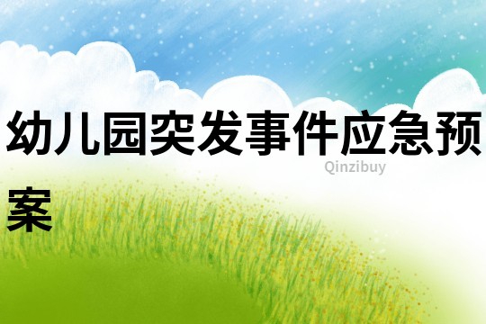 幼兒園突發(fā)事件應急預案