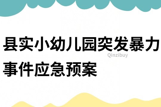 縣實小幼兒園突發暴力事件應急預案