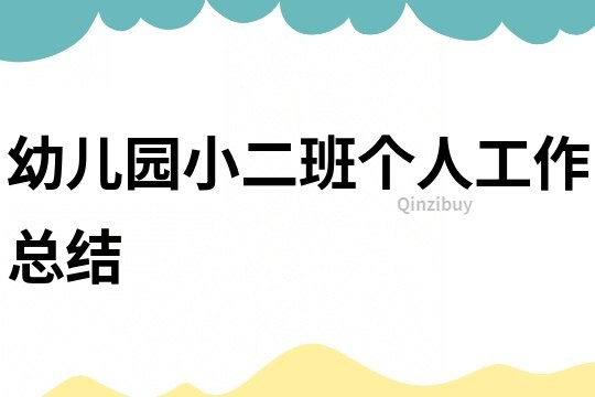 幼兒園小二班個(gè)人工作總結(jié)