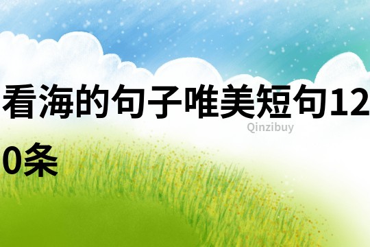 看海的句子唯美短句120條