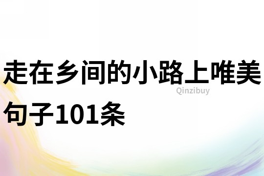 走在鄉間的小路上唯美句子101條