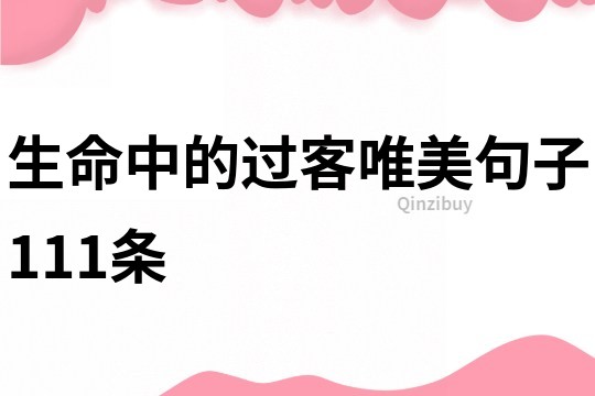 生命中的過客唯美句子111條