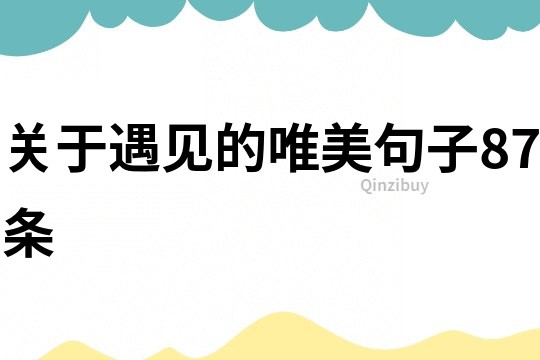 關(guān)于遇見的唯美句子87條