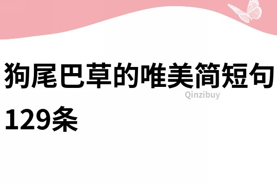 狗尾巴草的唯美簡短句129條
