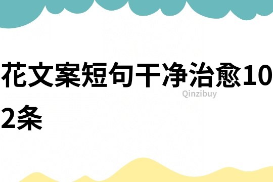 花文案短句干凈治愈102條