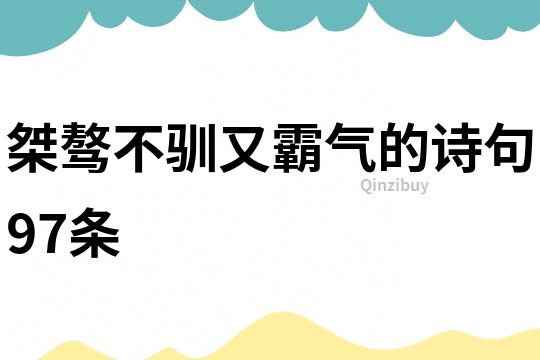 桀驁不馴又霸氣的詩句97條