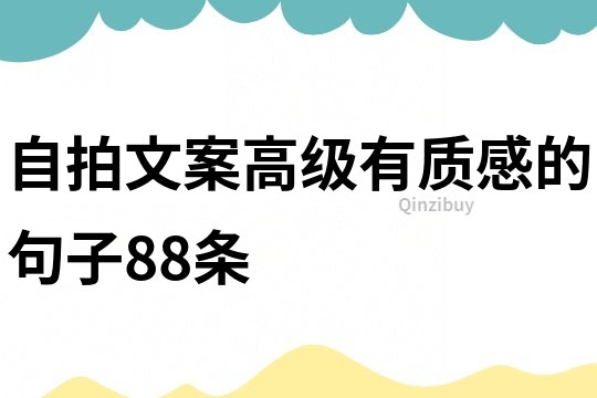 自拍文案高級有質(zhì)感的句子88條