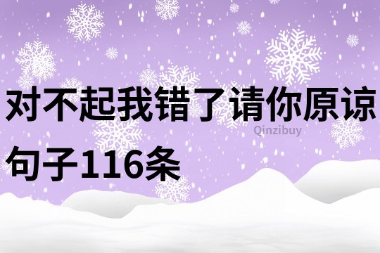 對不起我錯了請你原諒句子116條
