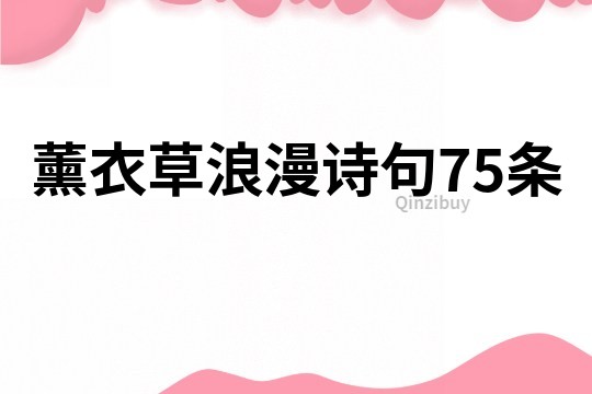 薰衣草浪漫詩句75條