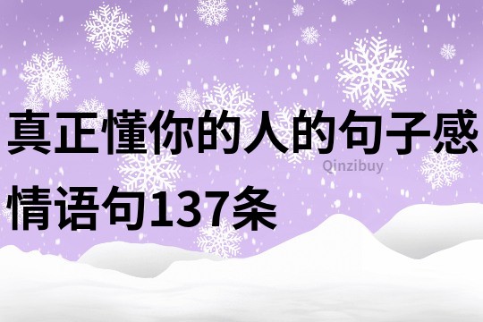 真正懂你的人的句子感情語句137條
