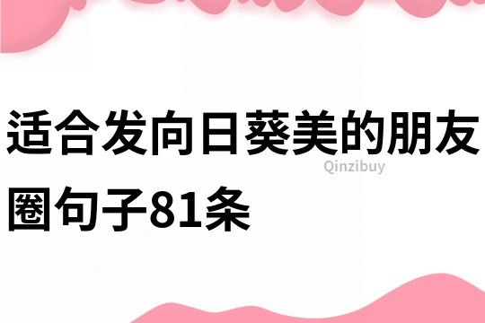 適合發向日葵美的朋友圈句子81條