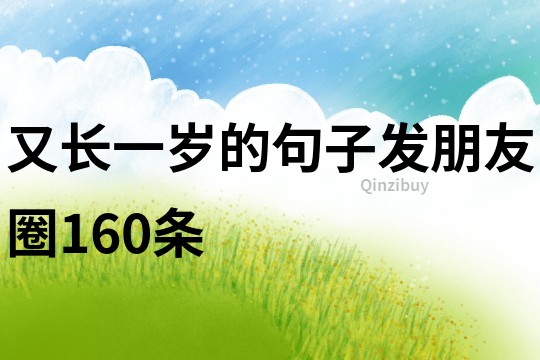 又長一歲的句子發朋友圈160條