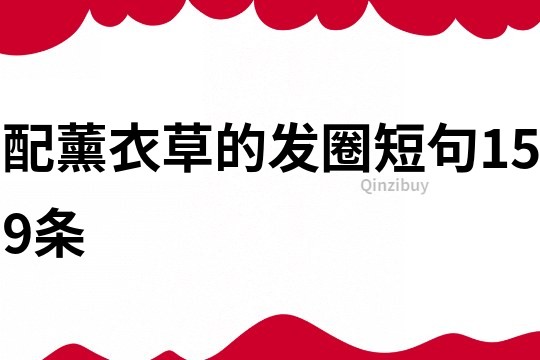 配薰衣草的發圈短句159條