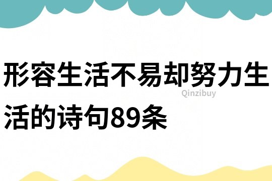形容生活不易,卻努力生活的詩句89條