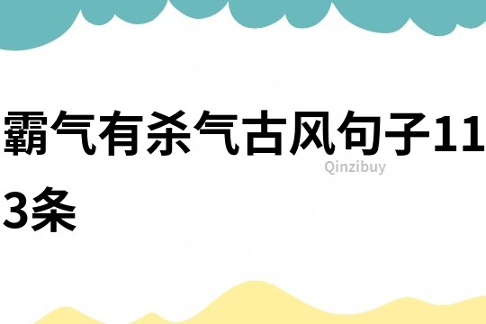 霸氣有殺氣古風(fēng)句子113條