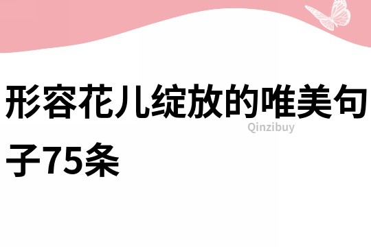 形容花兒綻放的唯美句子75條