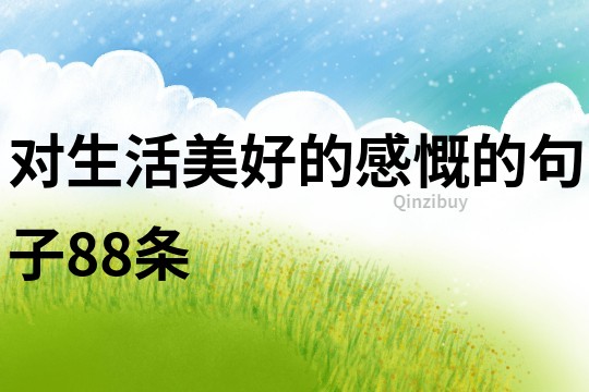 對生活美好的感慨的句子88條