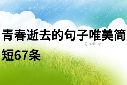 青春逝去的句子唯美簡短67條