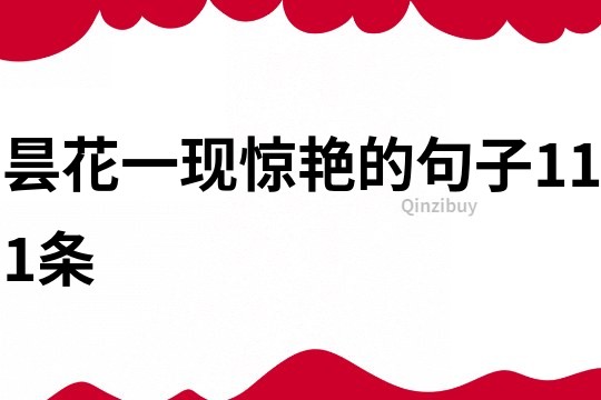 曇花一現(xiàn)驚艷的句子111條