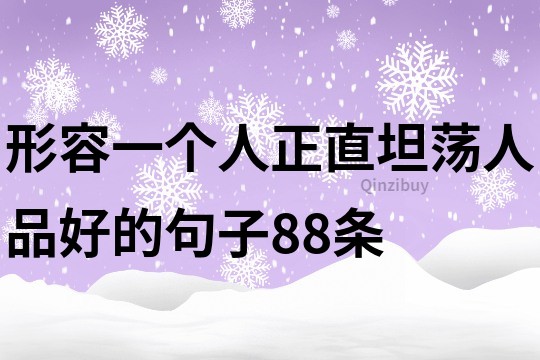 形容一個人正直坦蕩人品好的句子88條