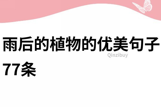 雨后的植物的優(yōu)美句子77條